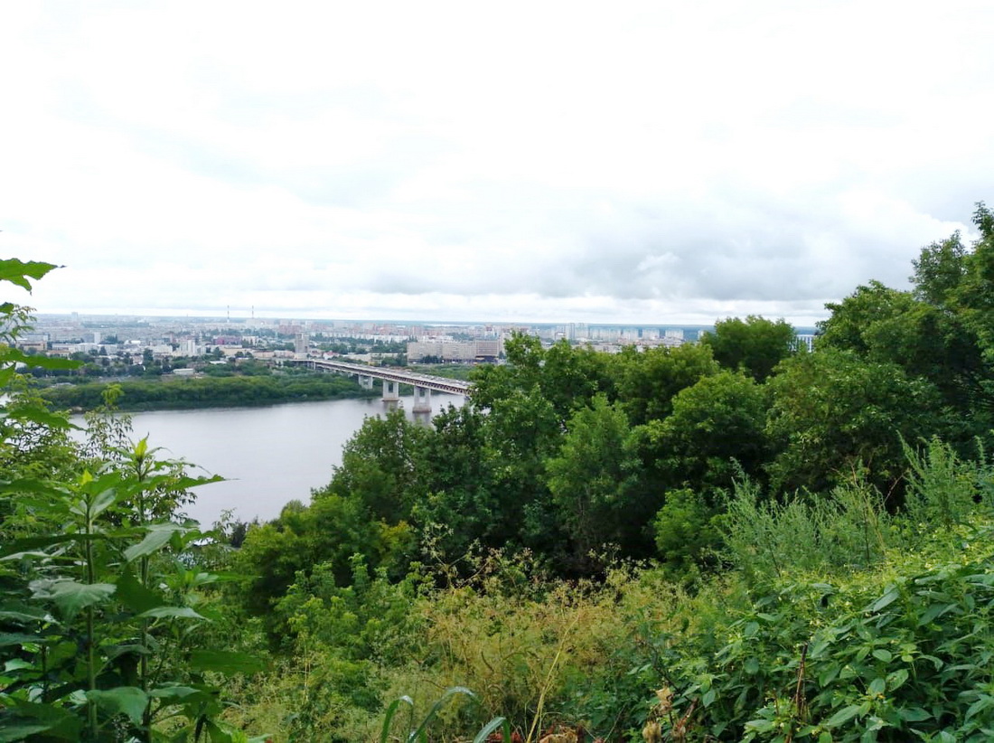 Вид на реку Оку с ул. Дальней (Метромост).